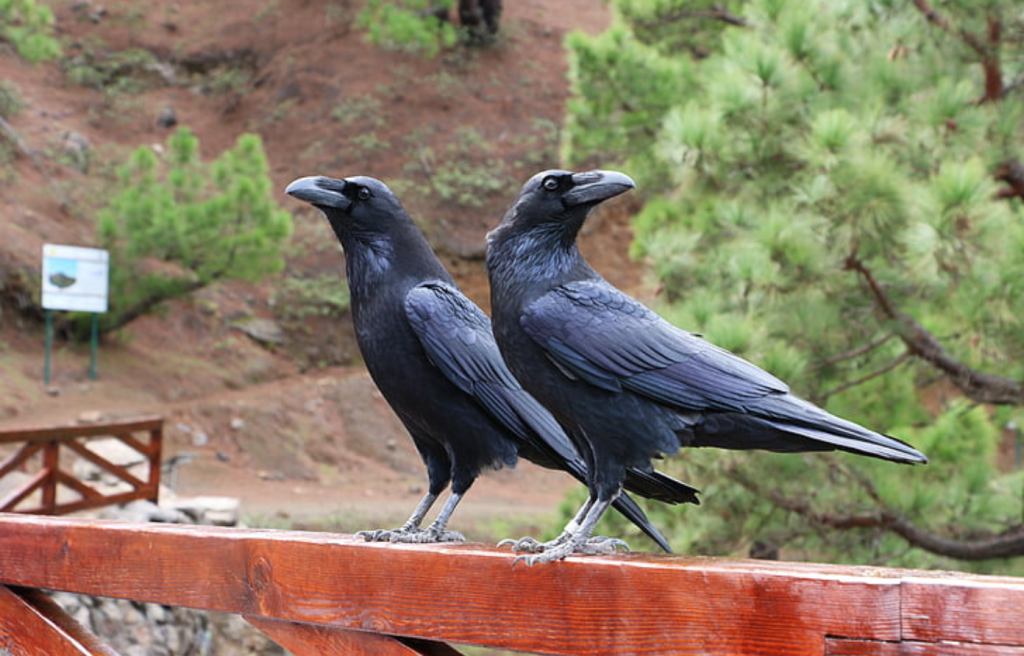 Prophet Adam (AS), the story of his sons, and his&nbsp;legacy