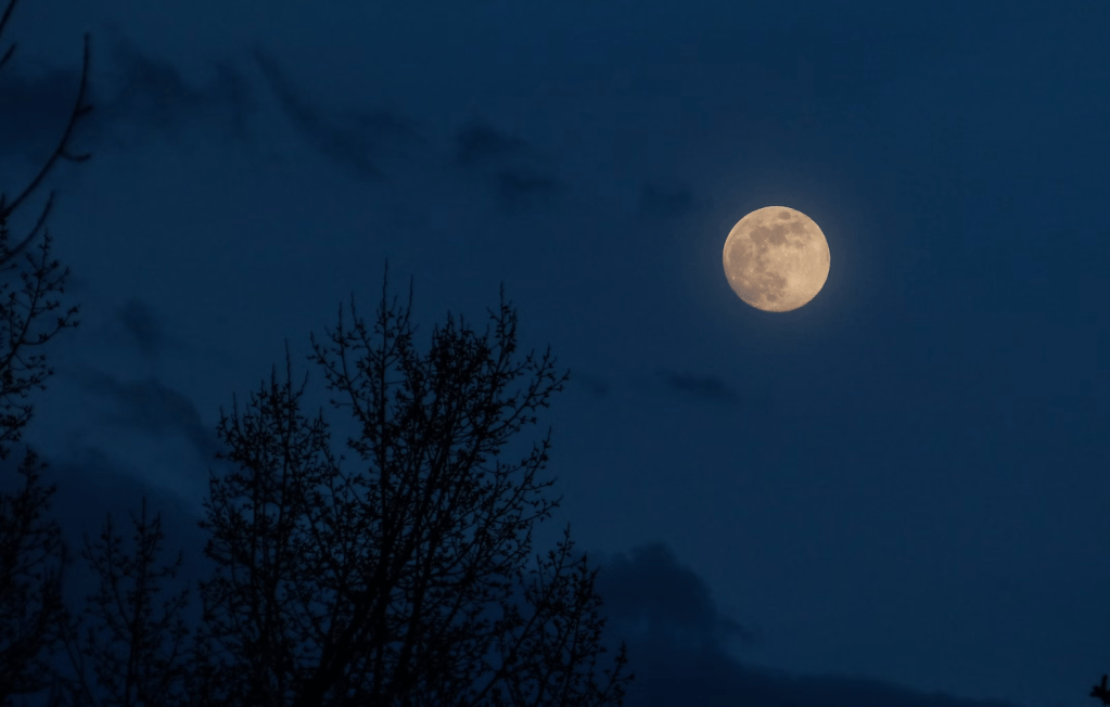 The story of Laylatul Qadr and the Quran’s first&nbsp;revelation