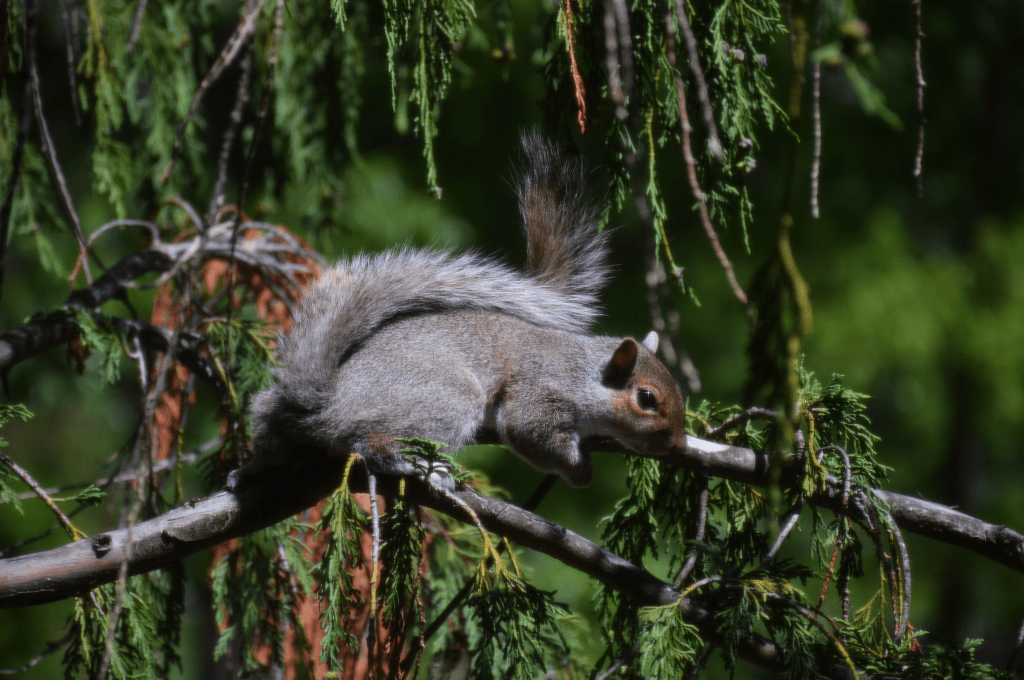 Last week in photos: Oromo Vintage Night, MWM and NOMM picnic, and spring&nbsp;nature